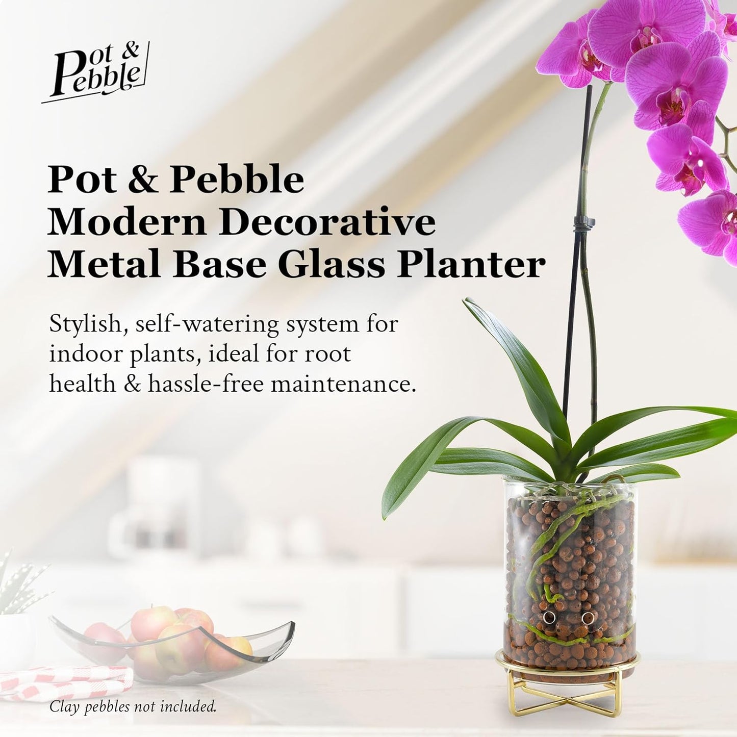 Pot & Pebble - C9 Glass Planter with Decorative Metal Base - Plant Propagation Station with Water Level Control - Plant Cutting Holder for LECA Clay Pebbles/Similar Media - Semi Hydroponic Planter