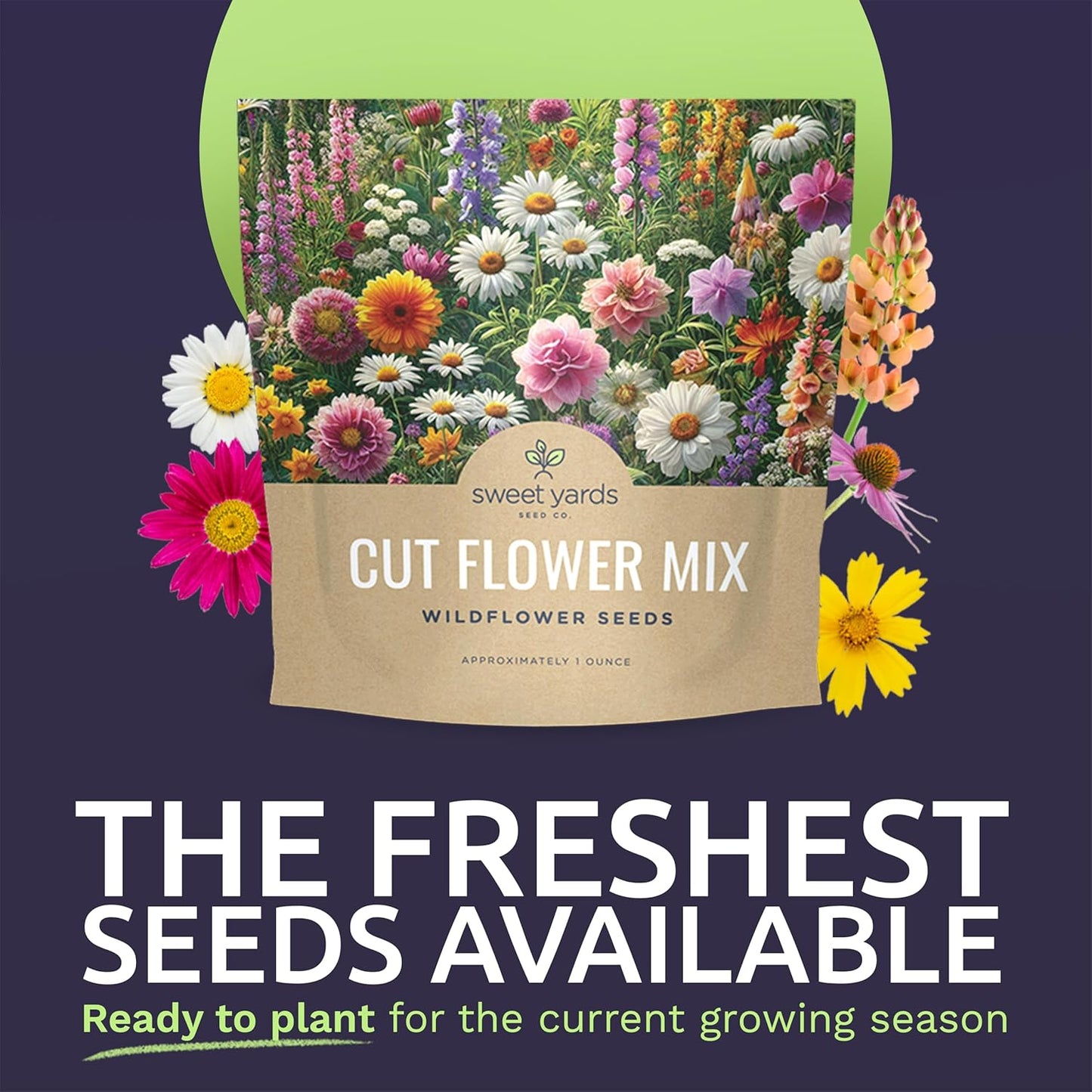 Cut Flower Garden Seeds - Extra Large 1 Ounce Packet - Over 7,500 Fresh Open Pollinated Non-GMO Wildflower Seeds - Long Lasting Annuals and Perennials with Bright Colors