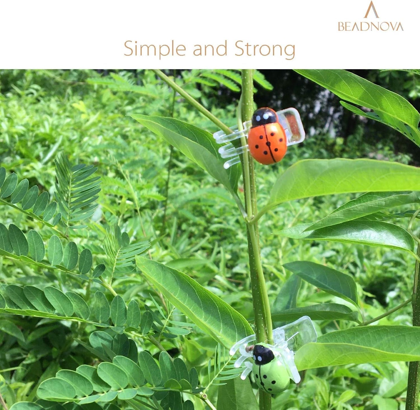 BEADNOVA Orchid Clips 30Pcs Ladybug Plant Clips Orchid Support Clips Vine Clips Plant Clips for Support Flower Orchid Vine (Mix Color, 30PCS)