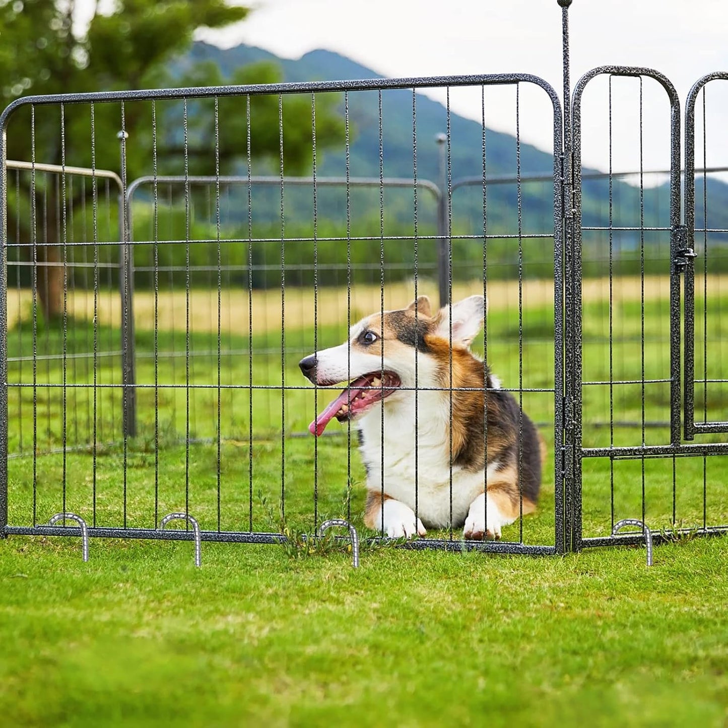 J Hook Rebar Stakes 12 Inch, Ground Stakes for Camping Tent Heavy Duty 10 Pack Rust Proof Coated Metal for Flower Gardens Landscape Fabric Pins Dog Fence