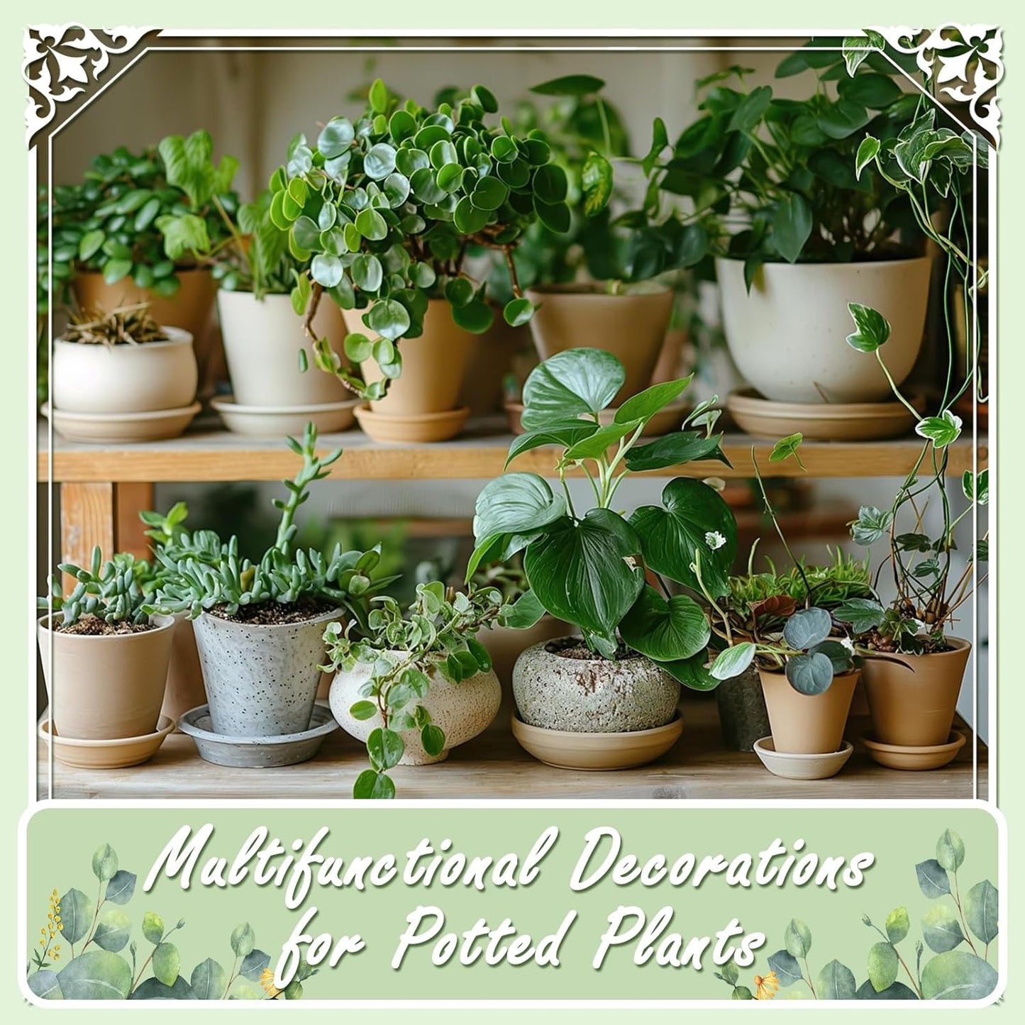 5lbs Natural River Rocks, Polished Pebbles for Plants Garden, 0.3-0.8 inch Decorative Peach Stones, Ideal for Fish Tank, Vases, Crafting, Home Decor and Garden Landscaping Rocks,Mix