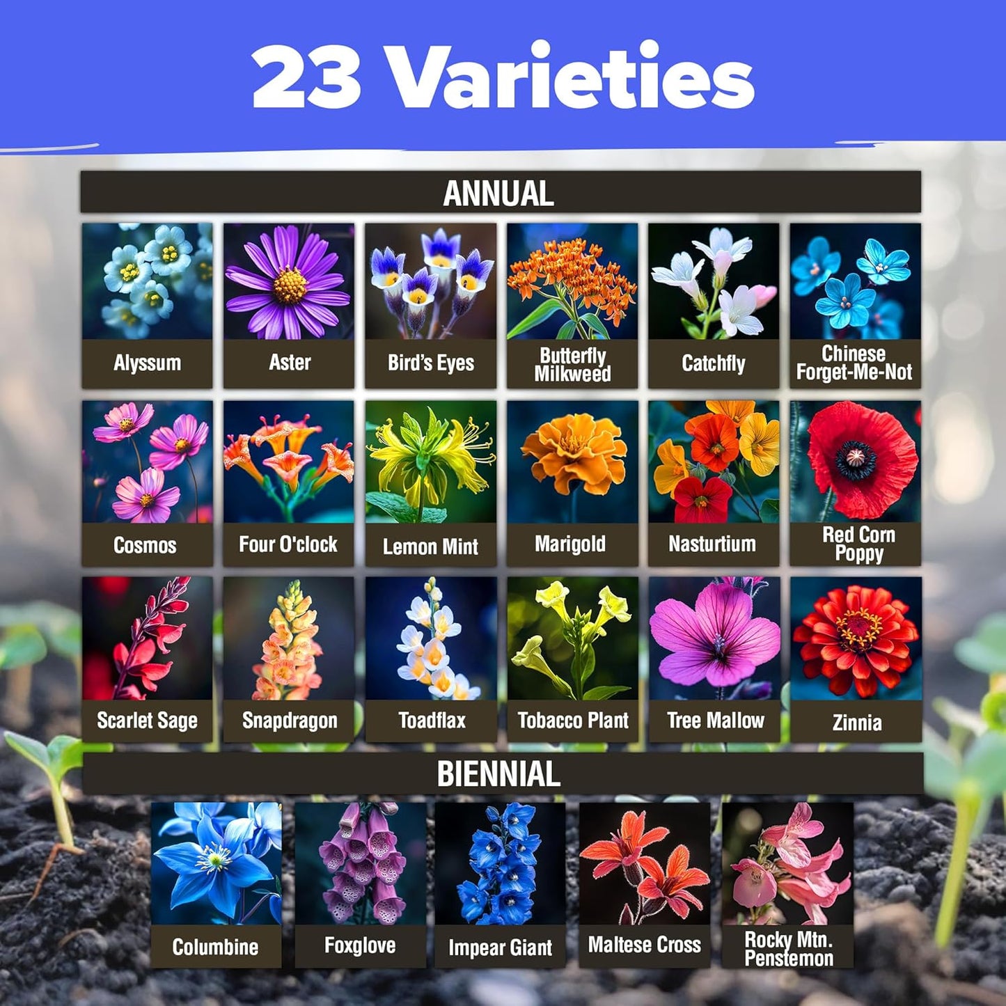 HOME GROWN Wildflower Seeds – 134,000+ Pure 𝗡𝗢𝗡-𝗚𝗠𝗢 𝗨𝗦𝗔 Seeds, No Filler – 23 Varieties Bulk Mix (3oz) for Birds & Butterflies – Annual & Perennial Wild Flowers for Fall Garden Planting