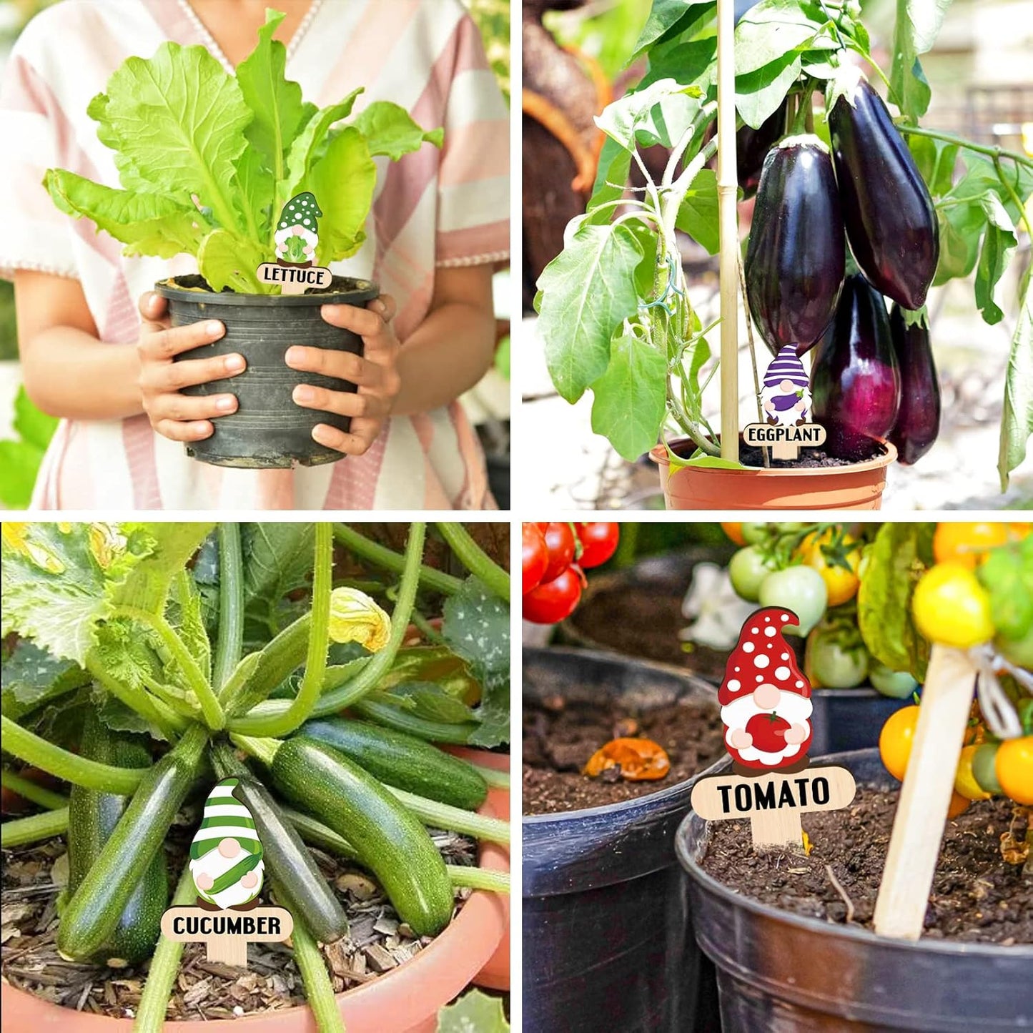 Huray Rayho Gnome Wooden Plant Markers for Vegetable Flowers Garden Potted Plants Tags 15-Pack Funny Wood Plant Labels Garden Stakes Patio Decorations Funny Gifts for Plant Lady Woman Novelty Gift