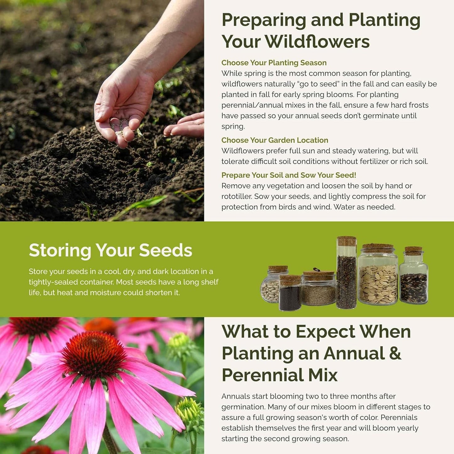 Eden Brothers Heirloom Flower Mixed Seeds for Planting, 1/4 lb, 120,000+ Seeds with Zinnia, Toadflax, Evening Primrose | Attracts Pollinators, Plant in Spring or Fall, Zones 3, 4, 5, 6, 7, 8, 9, 10