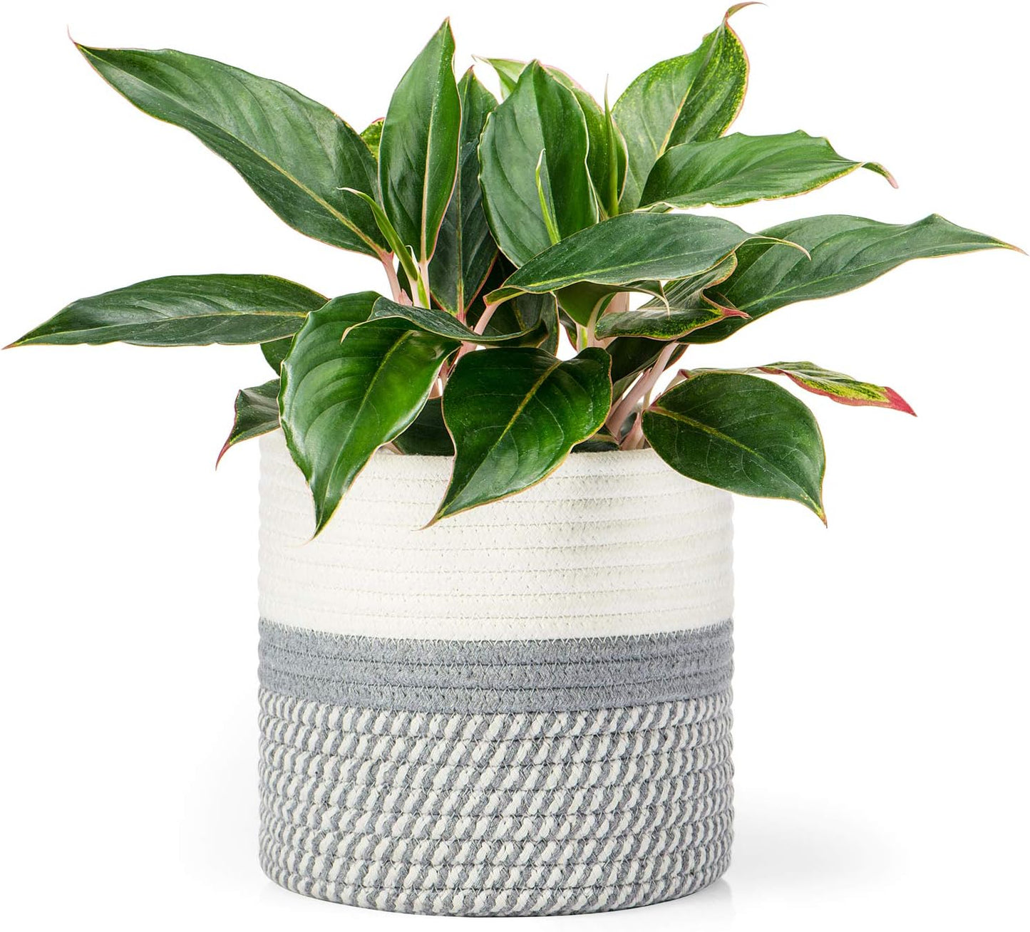 Dahey Jute Cotton Rope Plant Basket Mini Woven Storage Basket for Up to 7" Planter, Decorative Flower Pot Cover Closet Storage Bin Table Desk Organizer Modern Home Decor, Grey