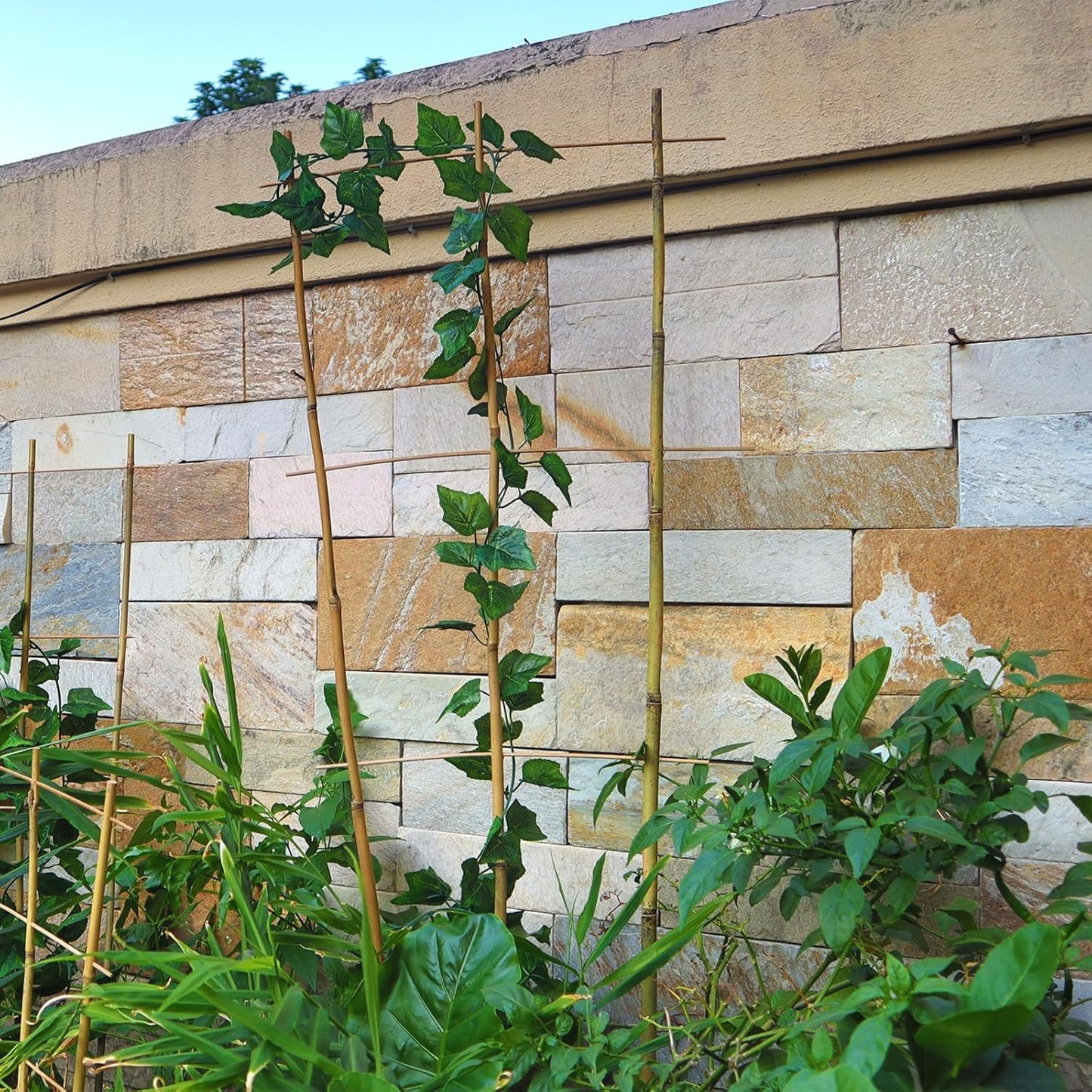 10 Pack 4ft Bamboo Trellis for Climbing Plants-Natural Garden Ladder Trellis, Fan -Shaped Support Trellis for Potted Plant Decor in Door