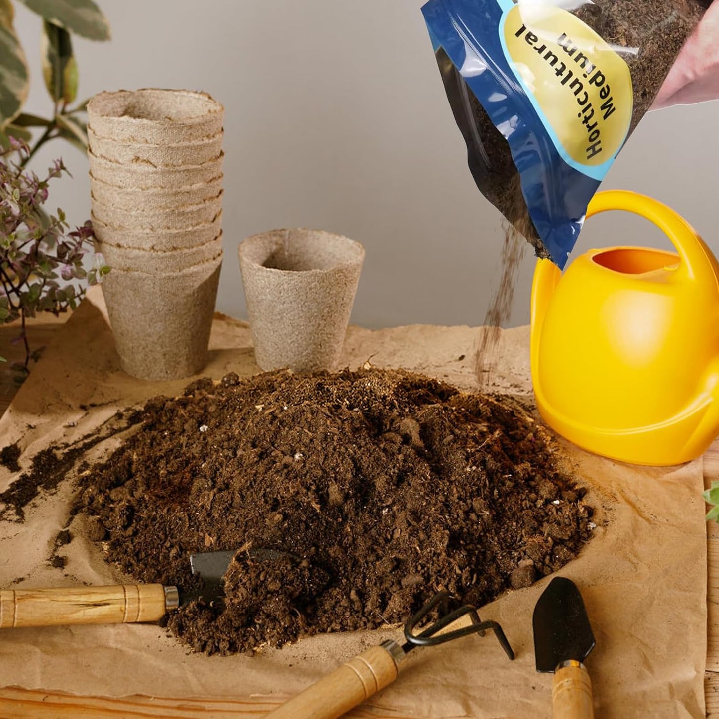 Sphagnum Peat Moss for Plants 1qt, Organic Garden Growing Soil Amendment and Media for Flowers, Vegetables, Herbs, Orchid, Indoor Houseplant