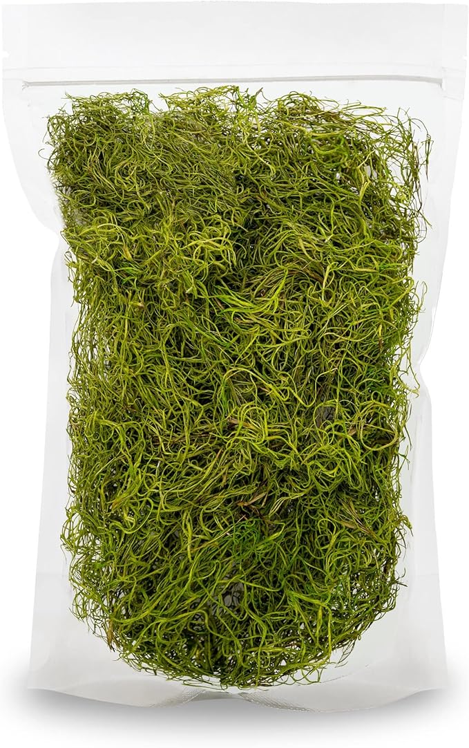 Premium Spanish Moss in Spring Green| Natural Preserved - Great Ground Cover - Filler for Potted Plants - by GARDENERA - 1 Quart Bag