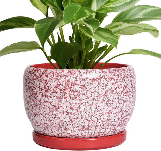 SQOWL Ceramic Pots for Plants - 8 inch Indoor Planter with Drainage Hole and Tray, Ceramic Flower Pot Outdoor, Round Decorative Planter, Bedroom Decor, Gifts for Plant Lovers, Red and White