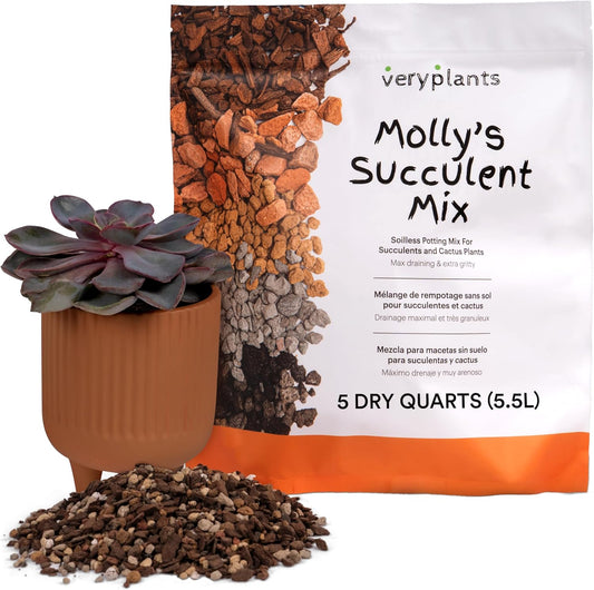 Molly's Succulent Mix - Premium Gritty Soilless Potting Mix for Succulents, Cactus and Bonsai - Contains Akadama, Hyuga, Bark Fines, Pumice, Lava Rock, Mycorrhizae 5 Dry Quarts