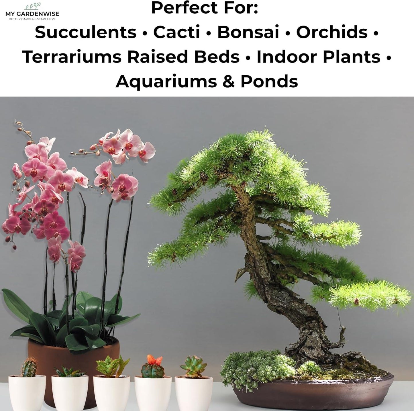 Lava Rocks for Plants (3/8’’ Minus), Natural Black Lava Rocks, Succulent & Terrarium Horticultural Volcanic Rock, Ideal Drainage for Potted Plants, Made in USA (3 qts - 4.8 lbs)