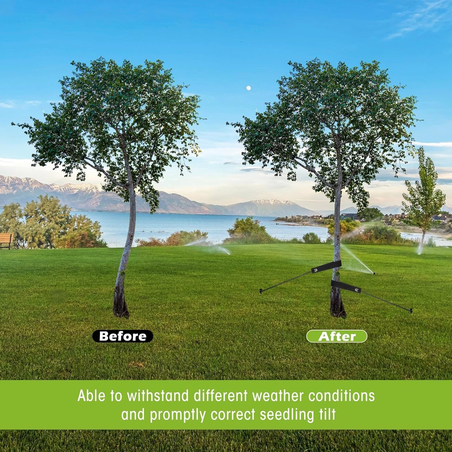 Sintuff 9 Set Heavy Duty Tree Stake Kit 15.75 Inches/ 40 cm Tree Straps for Staking and 13.12 ft/ 4 m Dock Lines Rope for Support Anchoring Home Leaning Plant Straightening Garden Tent (Black)