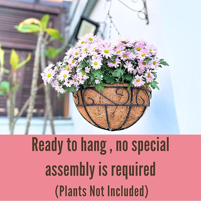 LaLaGreen Hanging Planter for Outdoor Plants (4 Pack, 16 Inch) Hanging Baskets with Coco Liner, Metal Wire Flower Basket Pots with Hook Hanger Balcony Porch Farmhouse Country Style Garden Decor