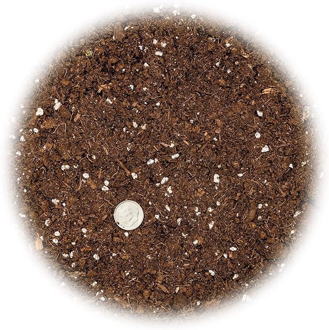 Premium Dracaena Potting Soil Mix - (1 Quart Bag)