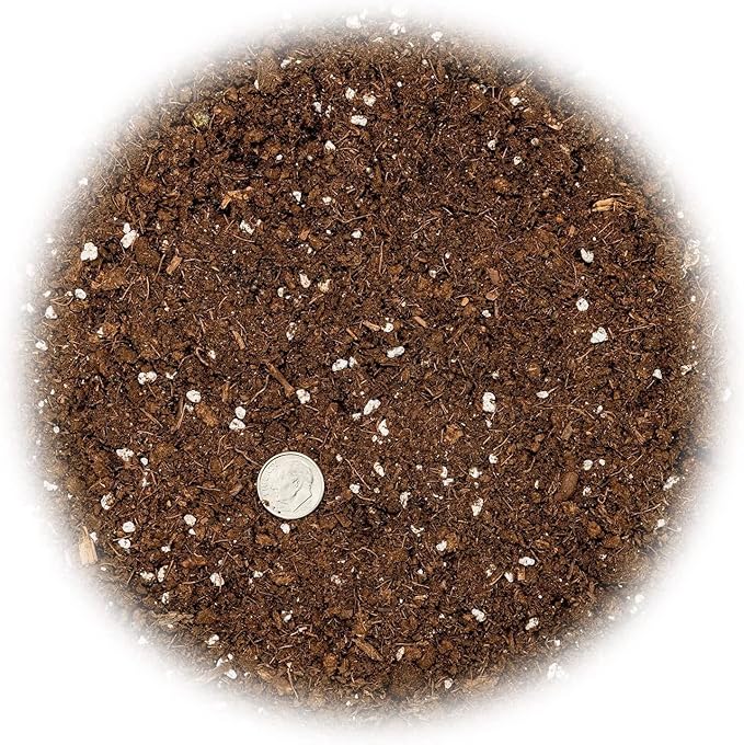 Premium Dracaena Potting Soil Mix - (5 Quart Bag)