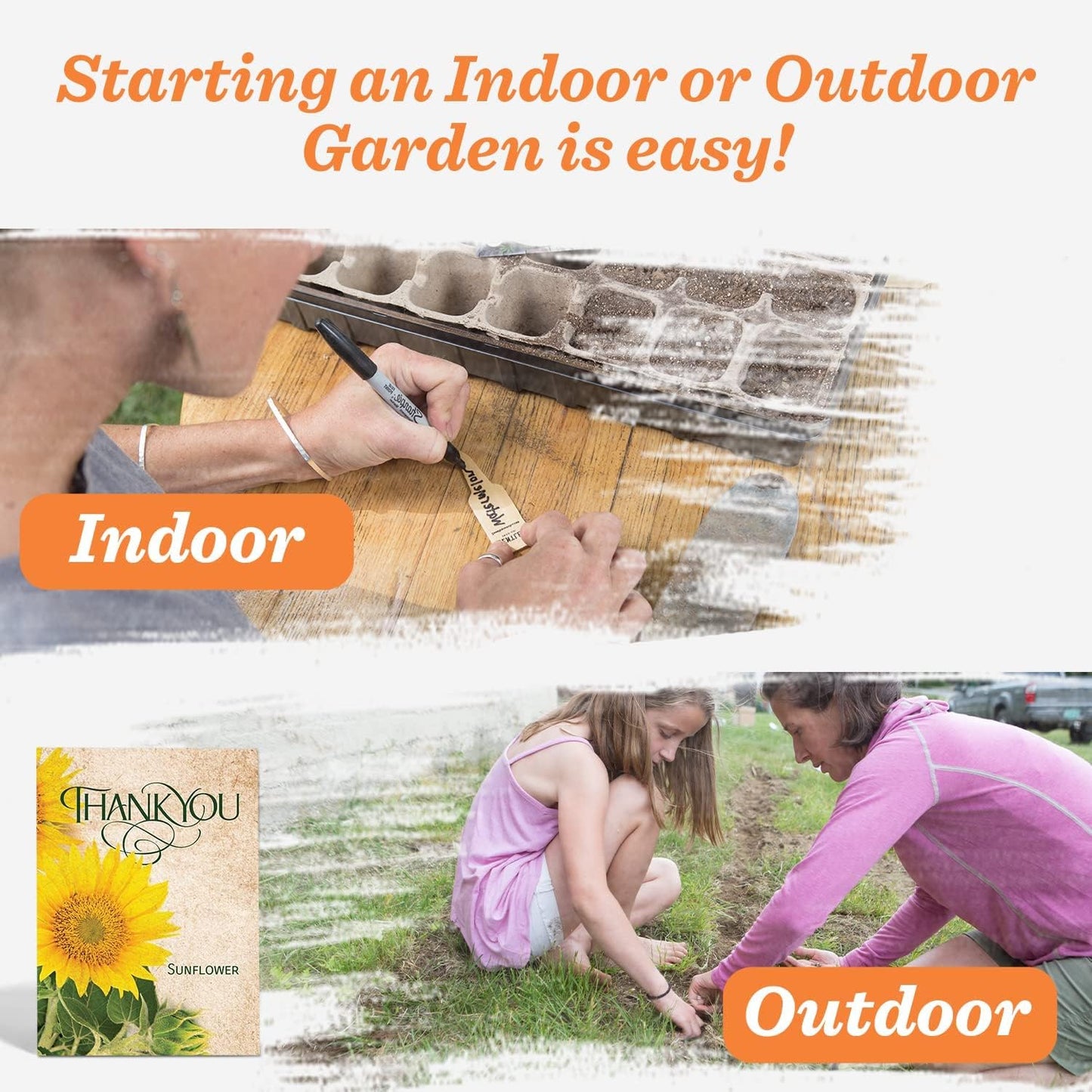 Bentley Thank You Packet - Sunflower Seeds - Pack of 25 - Perfect Eco-Friendly Thank You Gift - Non GMO