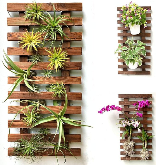 ShopLaLa Wall Planter - Wooden Hanging Planter for Indoor Plants, Plant Stand, Air Plant Succulent Holder, Vertical Garden. Large Wall Decor for Living Room, Room Decor for Teens, 60cm (23.6")