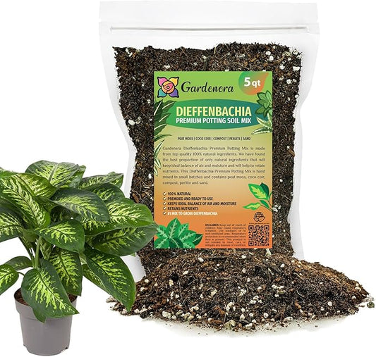 Premium DIEFFENBACHIA Potting Soil Mix - Ideal for Growing Robust and Healthy Dieffenbachia - 5 Quart