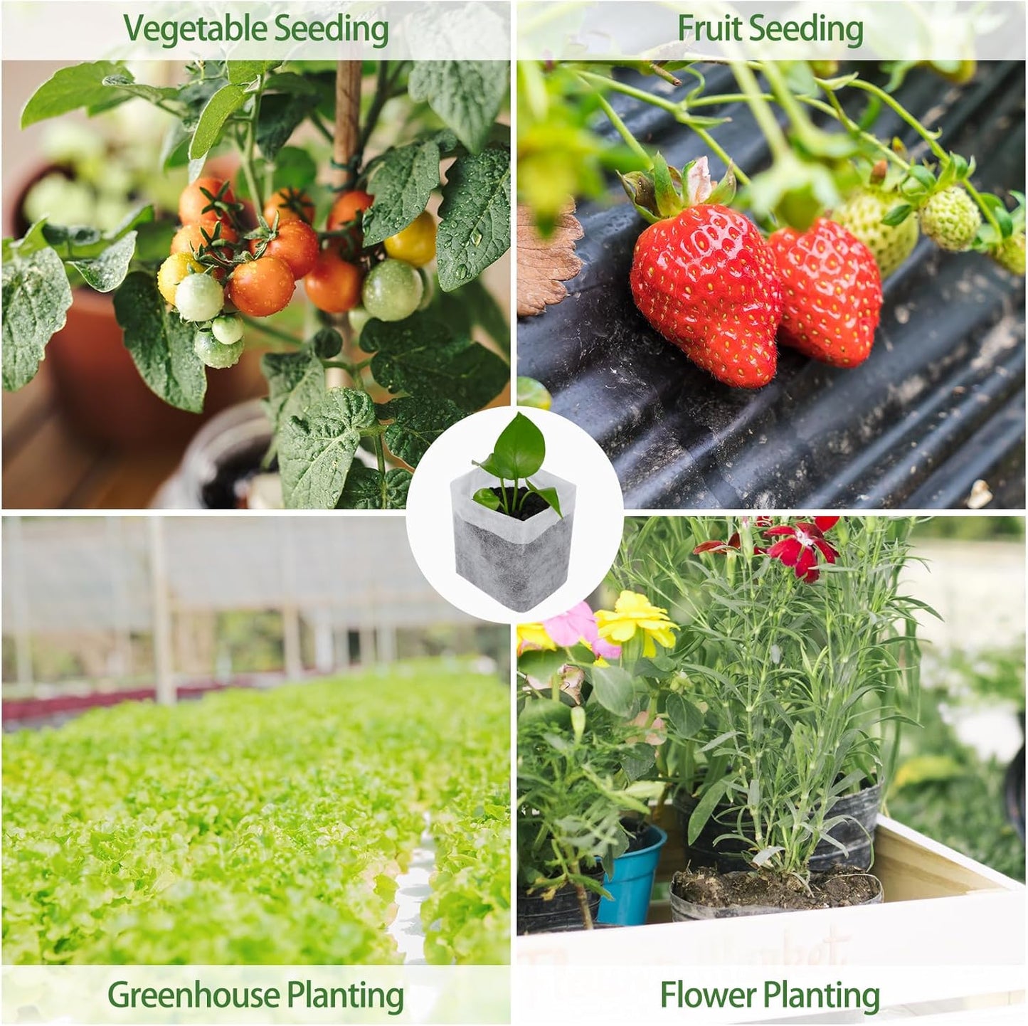 200 Pcs Nursing Growing Bags,Fabric Seedling Pots Non-Woven Pouch Seed Starter Pots Pouches for Vegetables, Flowers,Fruits,Trees,Home Garden Supply(200 Pcs 6.3" x 6.3 ")