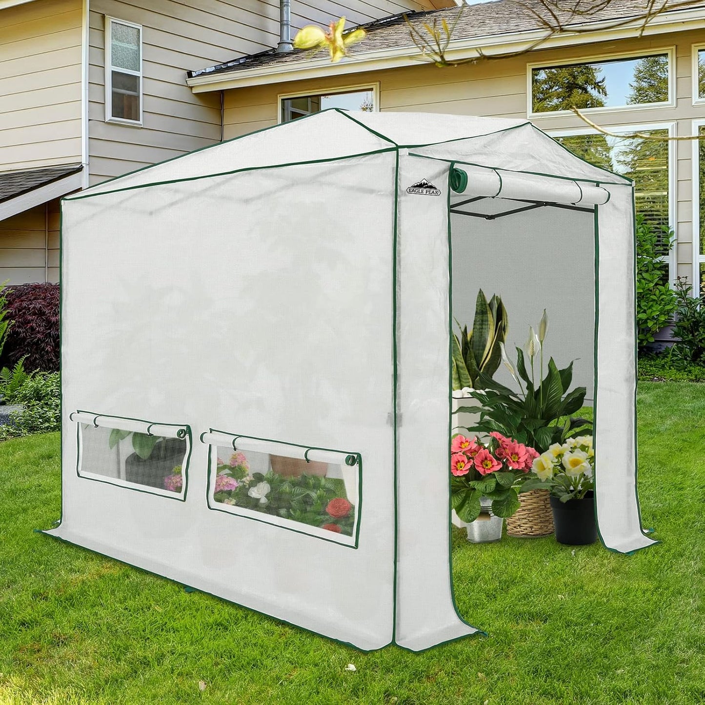 EAGLE PEAK Instant Pop-up Greenhouse, Indoor Outdoor Plant Gardening Green House, Roll-Up Zipper Doors and Side Windows, Heavy Duty Walk in 8x6 ft, Woven PE Top, White