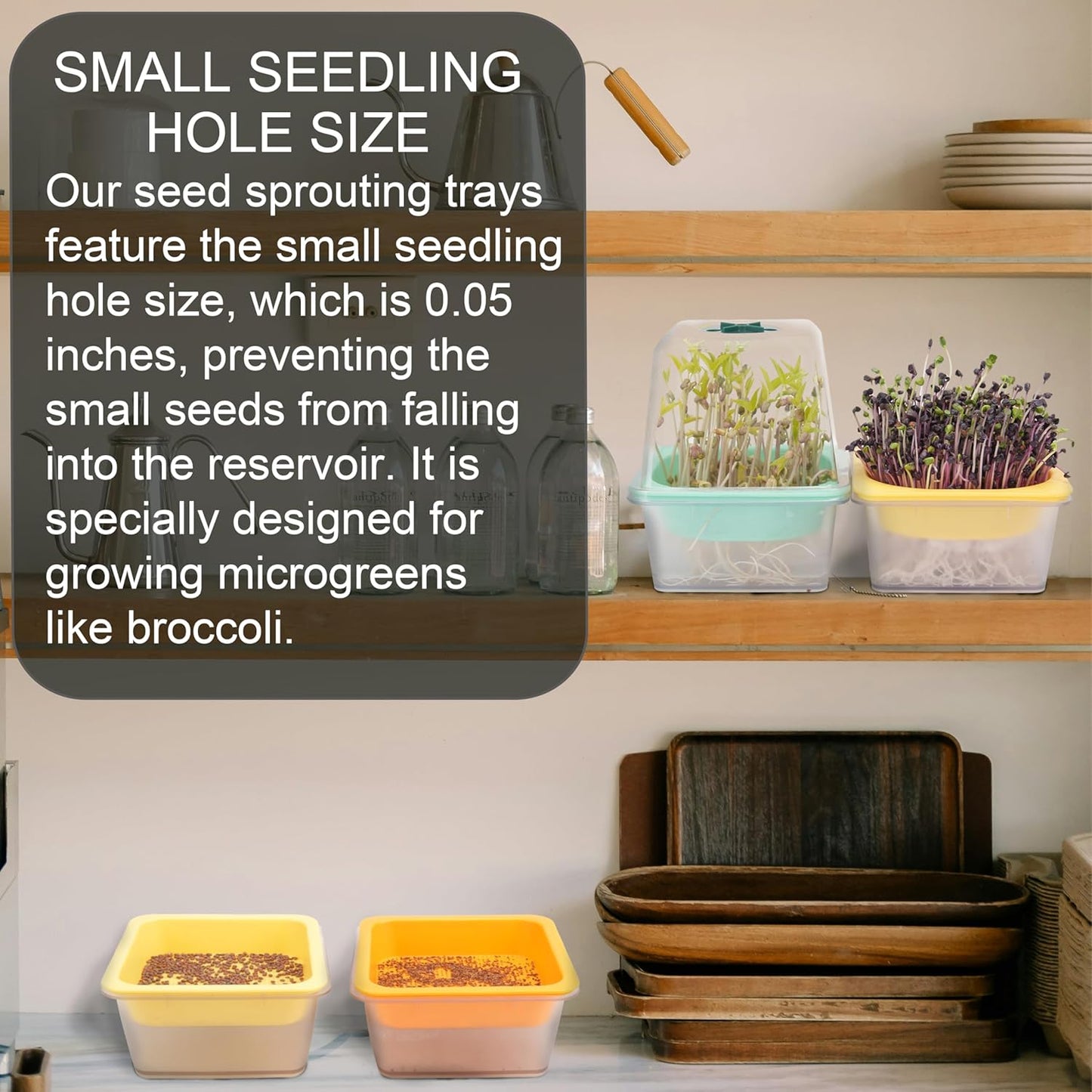 Microgreen Growing Trays, LUVCSOY Sprouting Tray with Humidity Dome, 1.2 mm Small Mesh Holes, BPA Free, Sprouter Kit for Growing Mirco Seeds, Like Broccoli, Alfalfa, Radish, Clover - 4 Pack | Clear