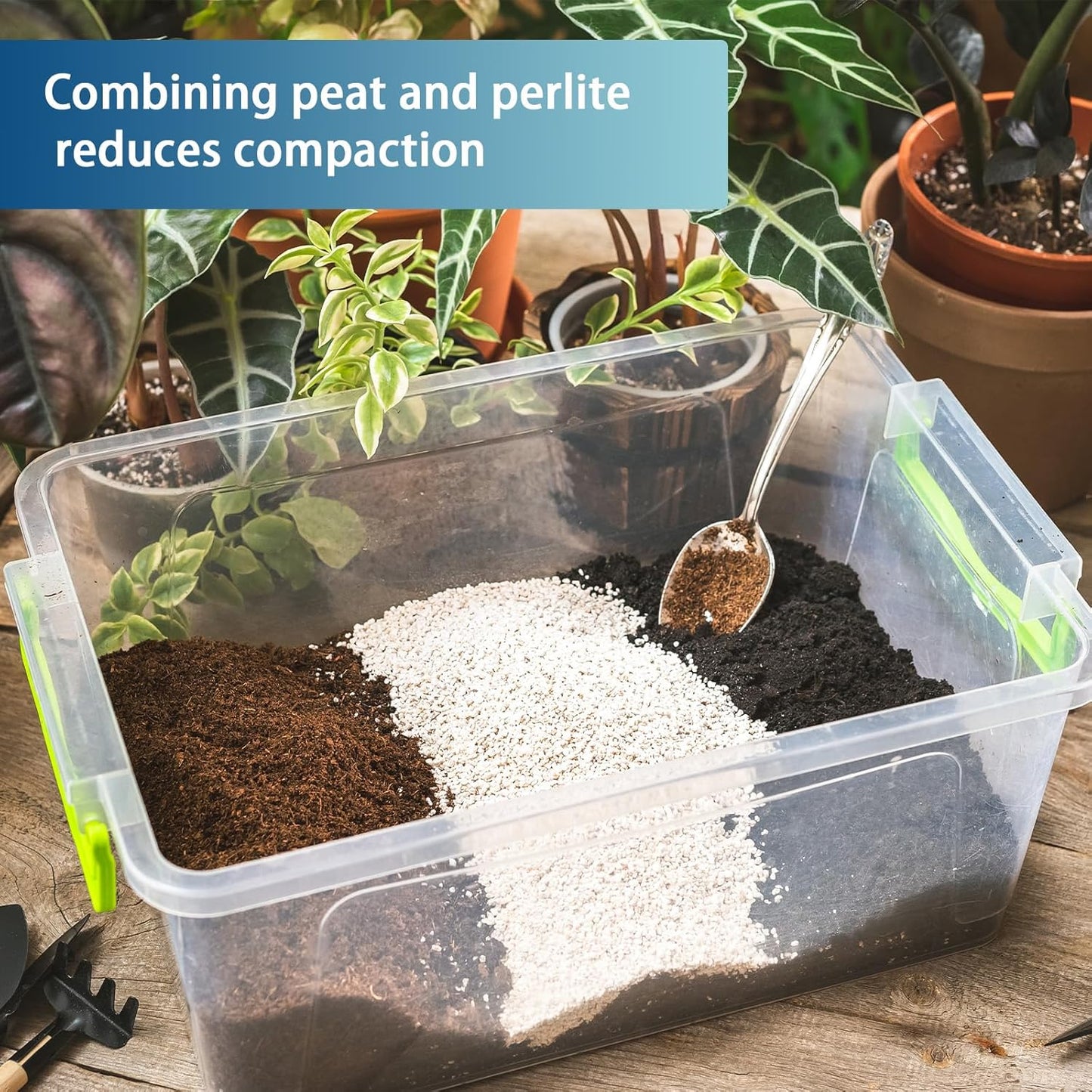 Sphagnum Peat Moss for Plants 1qt, Organic Garden Growing Soil Amendment and Media for Flowers, Vegetables, Herbs, Orchid, Indoor Houseplant