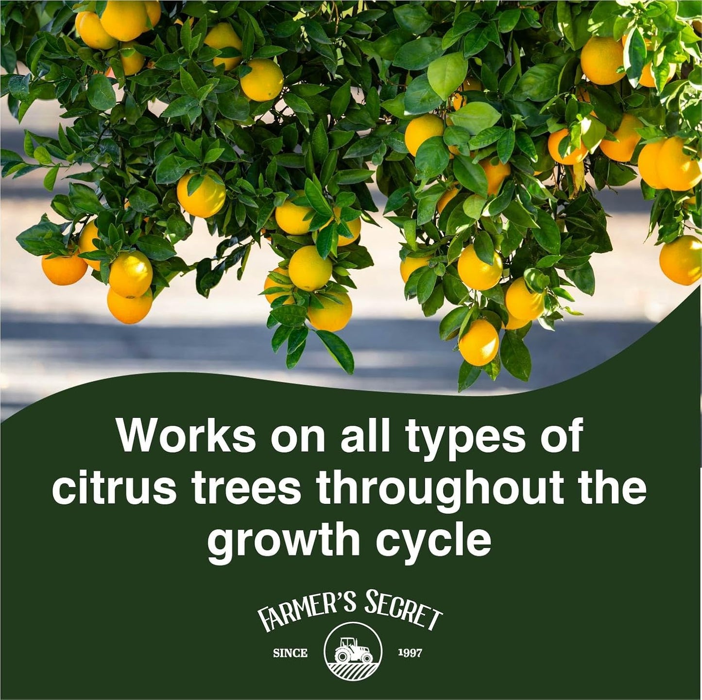 Farmer's Secret Citrus Tree Booster Fertilizer (32oz) - Super Concentrated - Formulated for All Citrus Trees Including All Types of Lemons, Limes, and Oranges - Outdoor and Indoor/Container Trees