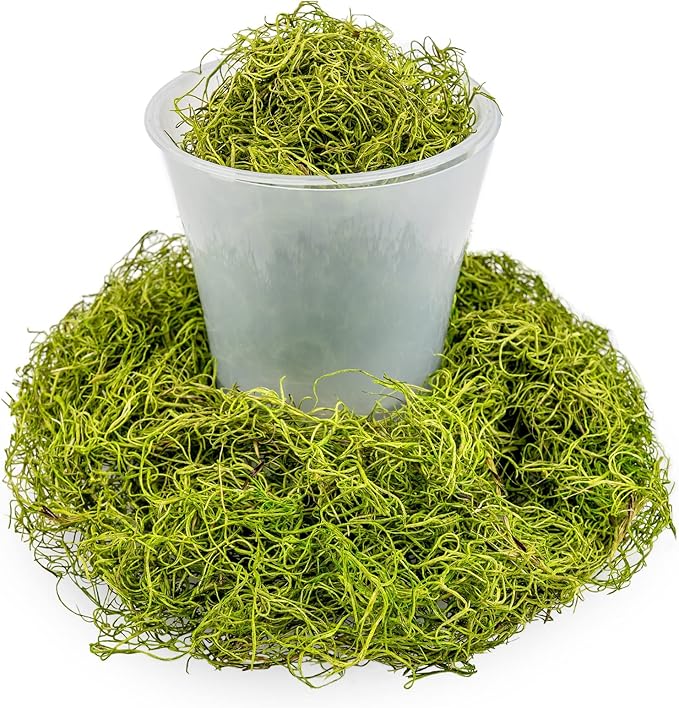 Premium Spanish Moss in Spring Green| Natural Preserved - Great Ground Cover - Filler for Potted Plants - by GARDENERA - 5 Quart Bag