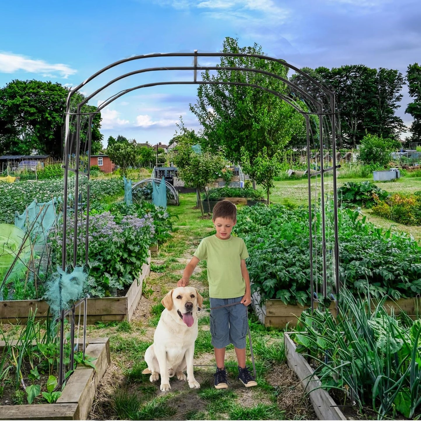 DoCred Tall Garden Arch Trellis for Climbing Plants, 87in Tall Metal Plant Support Trellis Archway for Climbing Vine Vegetable/Fruit/Flower Outdoor Yard Lawn Garden Arch Tunnel Trellis