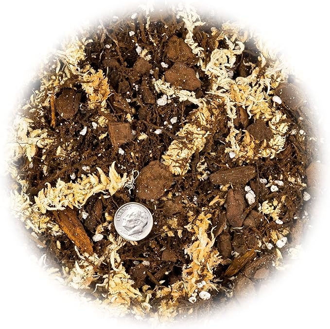 Premium Orchid Mix by GARDENERA | Fern + New Zealand Pine Bark + Sphagnum Moss + Perlite | Best for Growing and Repotting Orchids - 1 Quart Bag