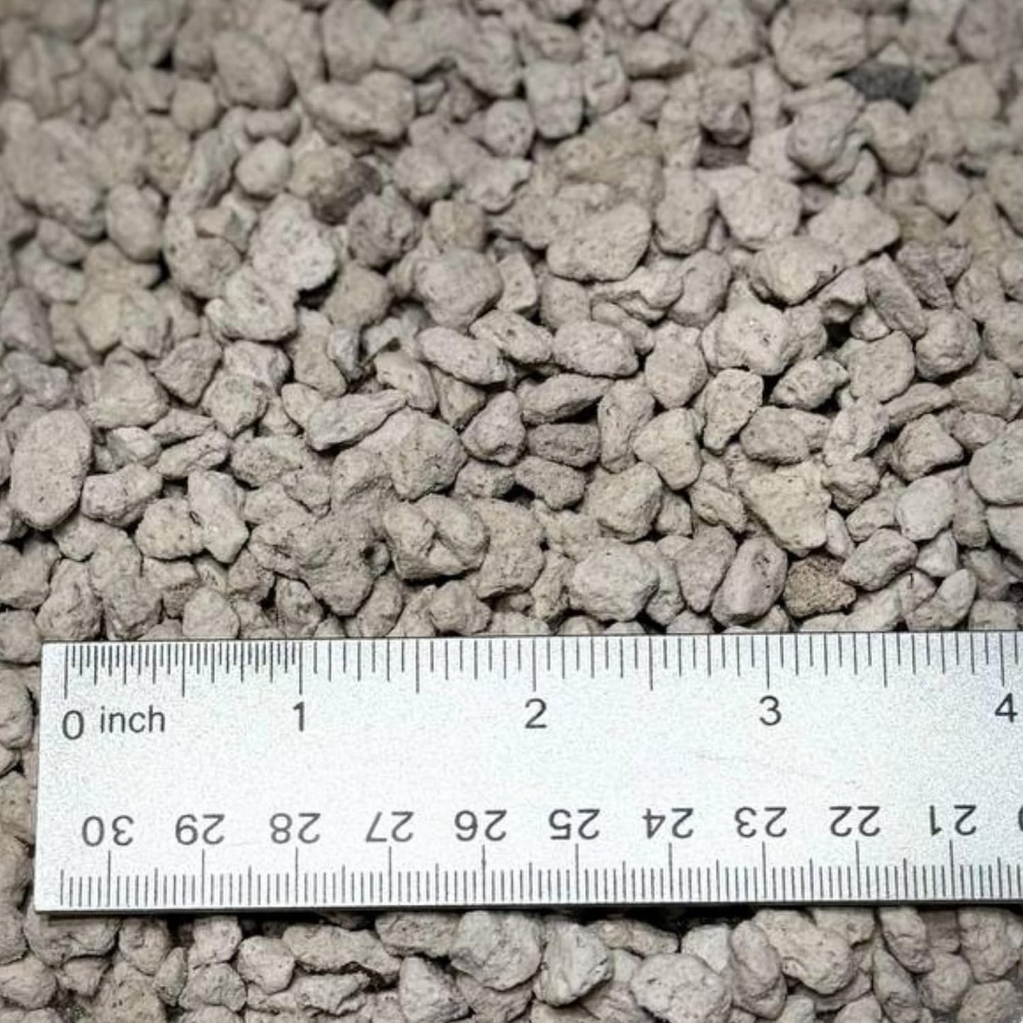 Horticultural Pumice for Plants, Natural Pumice Stone Soil Amendment, 3/8-1/4 inch, Made in USA (1 Quart - 0.9 lb)