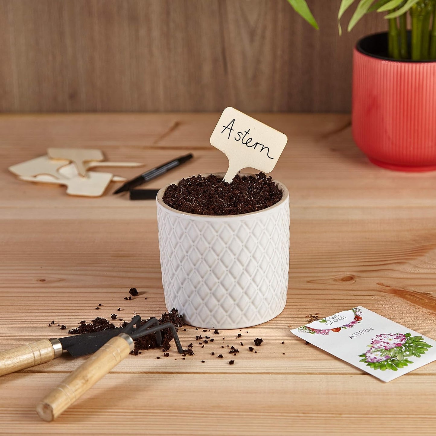 Wooden Plant Tags - 60 Labels and Marker Pen - Wooden Garden Sign for Identification - Seedling Tags for Gardening, Garden Stakes for Potted Plants, Herbs, Vegetables - 4"x2.4"