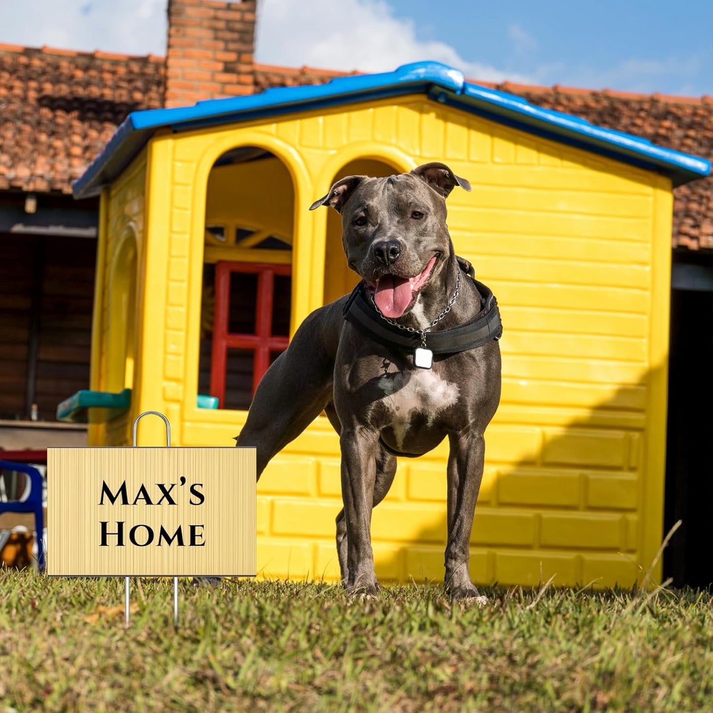 Landhoow 30 Pcs Large Garden Plant Markers Metal Plant Labels Sign 4'' x 6'' with 11'' Stake Weatherproof Waterproof Garden Sign for Outdoor Seedlings Herbs Vegetable Greenhouse, Gold