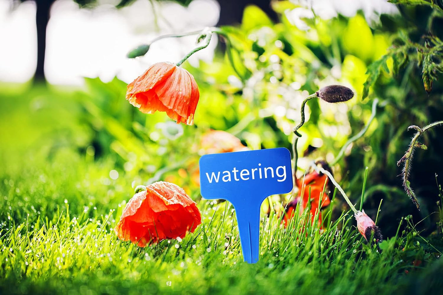 Blue Thick Plant Garden Labels, Plastic T-Type Nursery Markers Tags(100 Pcs)