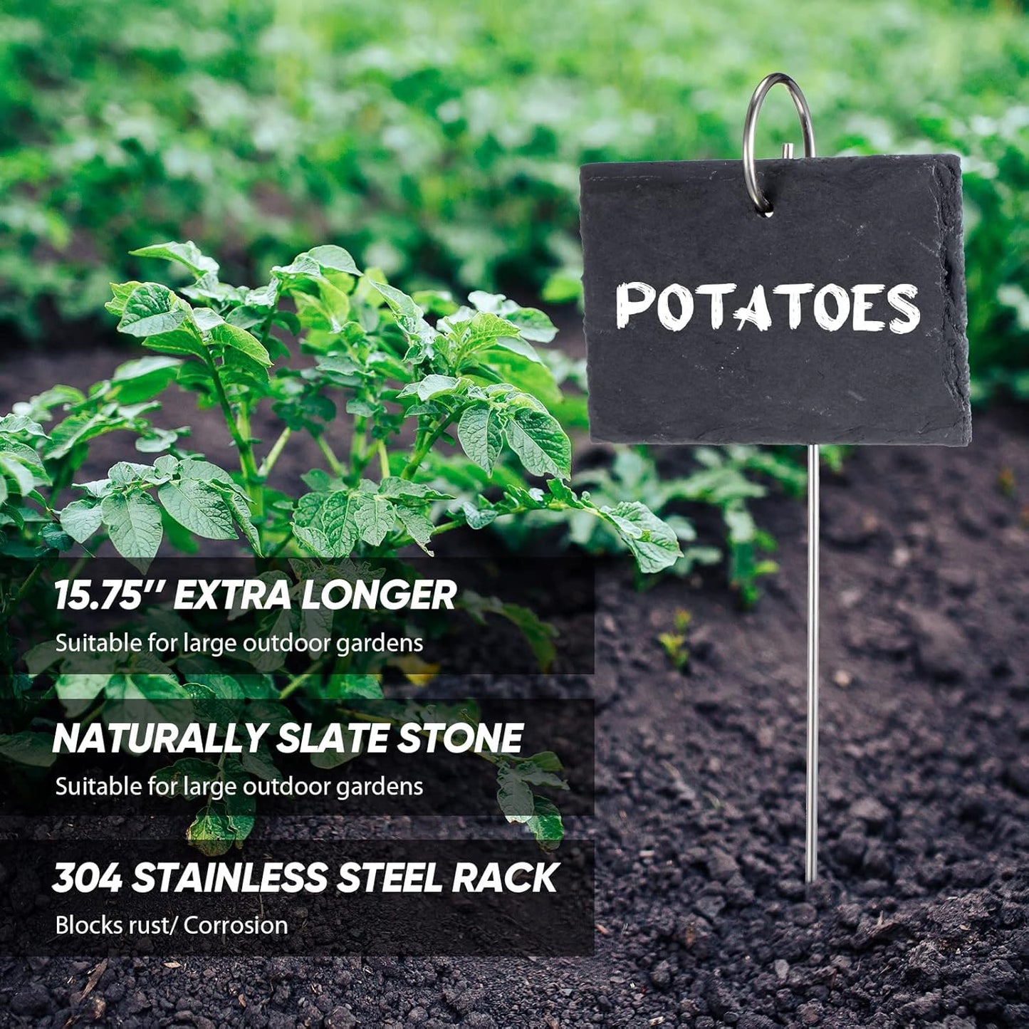 Leifide 24 Sets Plant Labels, Reusable Slate Plant Markers Natural Weatherproof Garden Signs Waterproof Hanging Slate Planter Tags with Metal Stakes and Stone Chalks for Vegetable Flower Pot