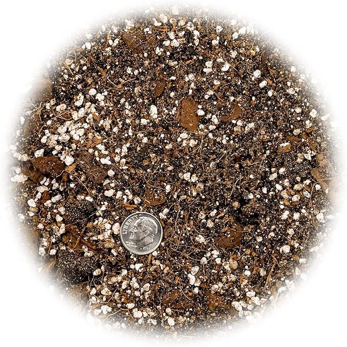 Premium Spider Plant Potting Soil Mix - (4 Quart Bag)