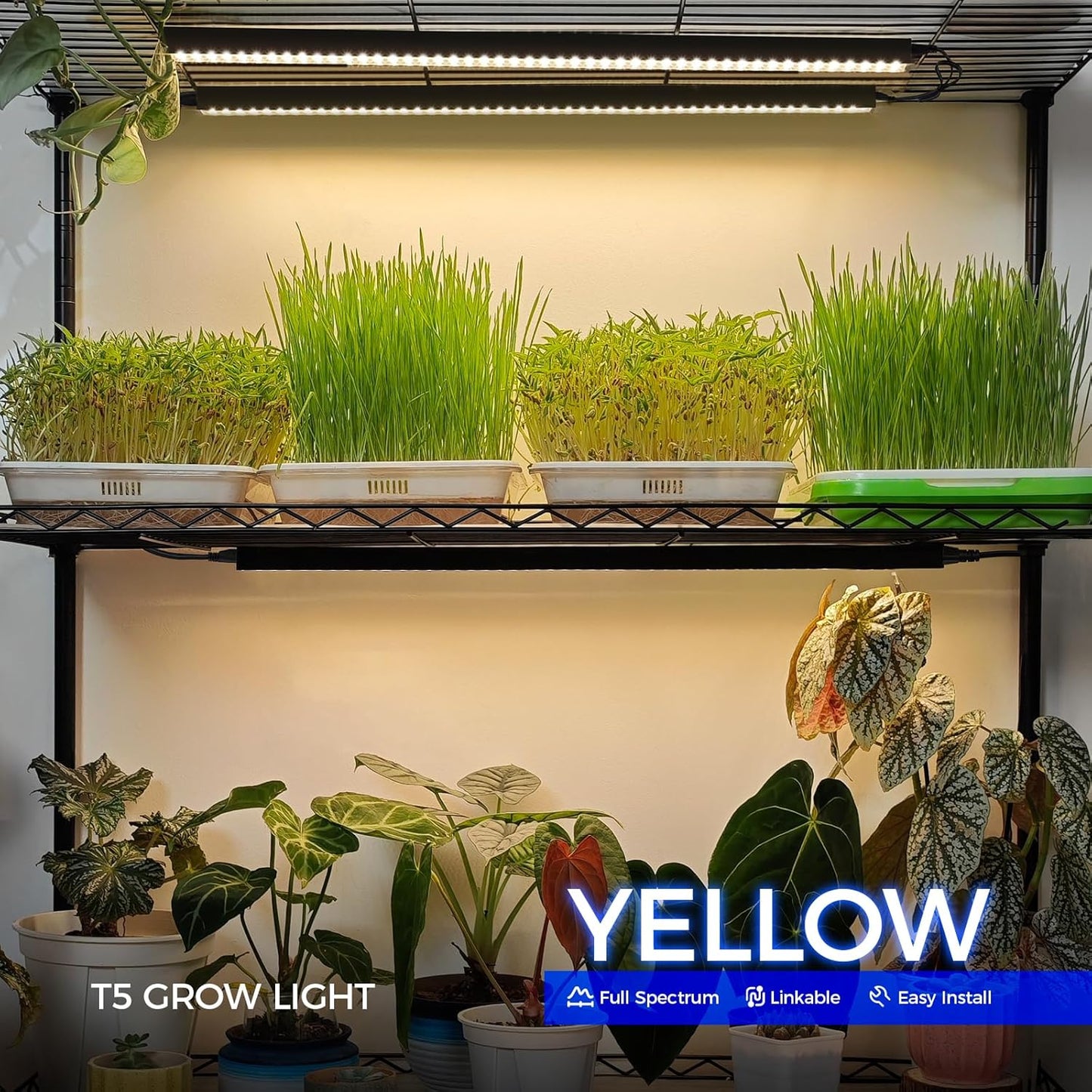 Barrina T5 Plant Grow Lights for Indoor Growing, 2FT 80W (8 x 10W) Full Spectrum LED Grow Light, Black Cover Growing Light Strips with Switch, Magnetic Installation, Plug and Play, Yellow, 8 Packs