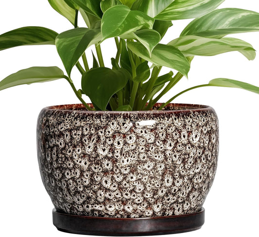 SQOWL Ceramic Planter - 8 inch Plant Pot Indoor with Drainage Hole and Plant Saucer, Round Ceramic Flower Pots Outdoor, Decorative Modern Planter, Office Kitchen Decor, Gifts for Women Men, White