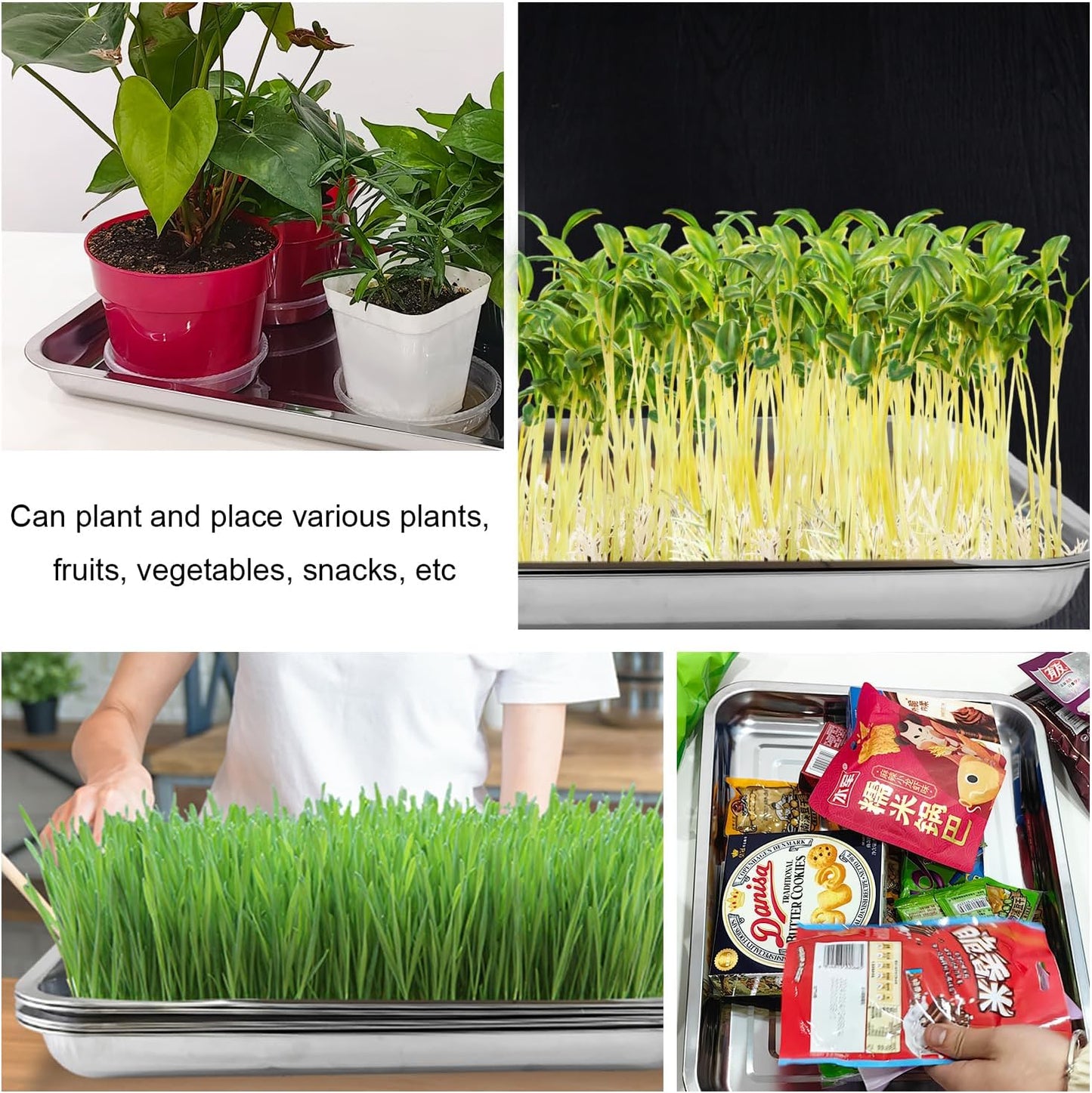 5 Pack Large Stainless Steel Seedling Trays, Heavy Duty Metal Water Catch Trays for Nursery Pots-Transplant, Seed Germination & Propagation Flats (17.5 inch×13.56 inch, 1.18" Height)