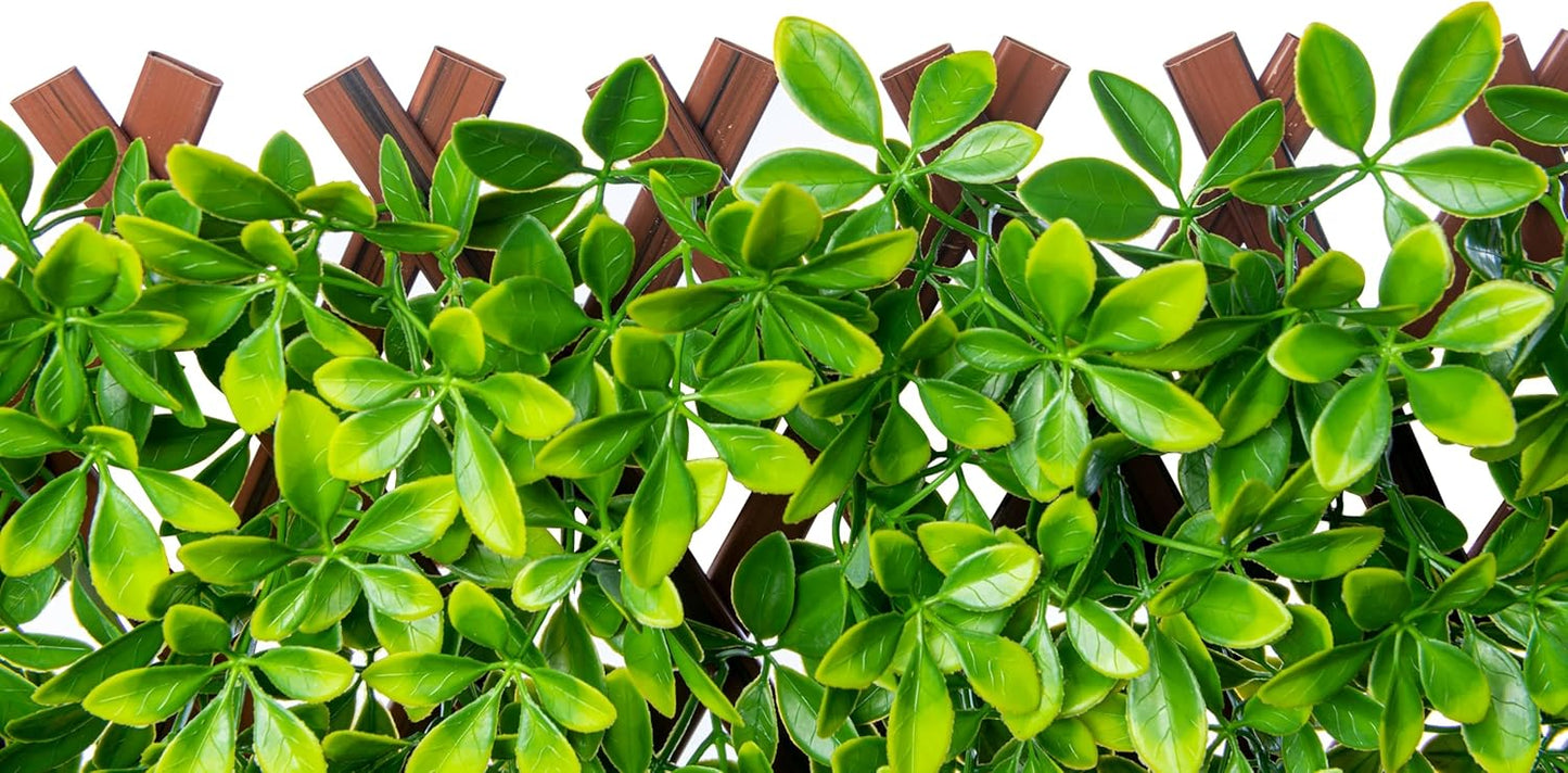 Naturae Decor PVC Expandable Trellis - Outdoor Privacy Screen - Sturdy and Flexible - Realistic Look - 36 in x 72 in - Schefflera Leaves