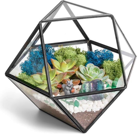 DIY 7" Geometric Terrarium Kit with Live Plants - Build Your Own Glass Terrarium for Adults & Kids with Moss, Crystals, Tools & Decor - Mini Ecosystem - Handcrafted in The USA