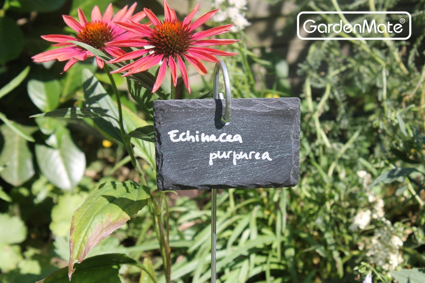 GardenMate 10-Pack Natural Style Slate Plant Labels (4"x 2 3/4") Hanging from a Stainless Steel Metal Rod (22")