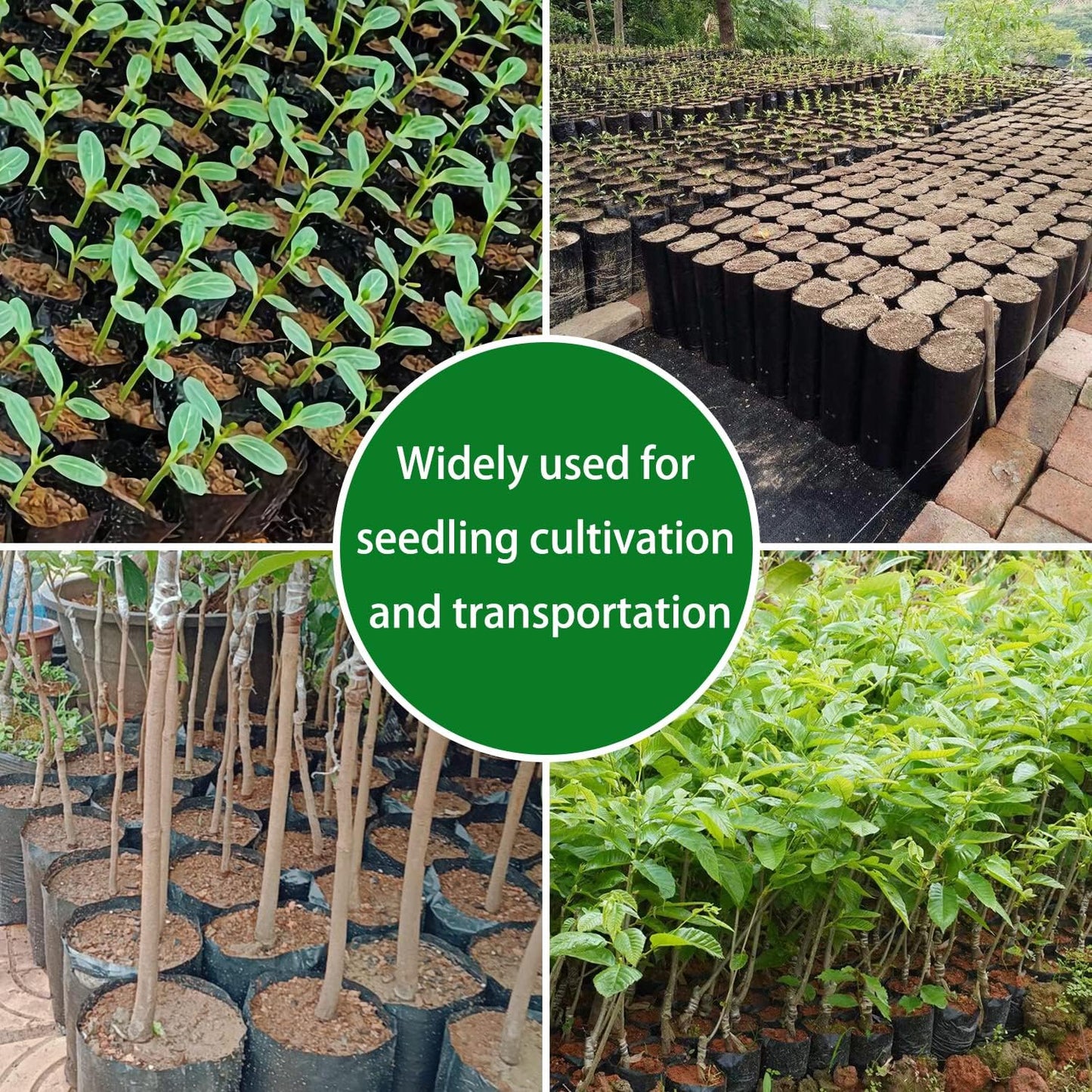 Belit 100 Pcs Plant Nursery Bags, Plastic Seedling Pots Container for Fruit Tree, Flower, Starting saplings, Plant Grow(3.5"x6.6")