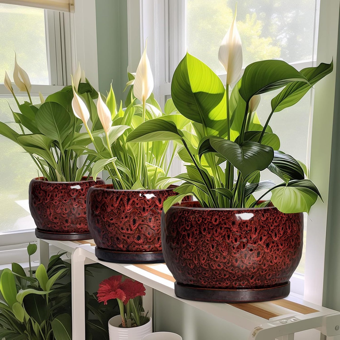 SQOWL Ceramic Plant Pots - 8 inch Planter with Drainage Hole and Tray, Round Ceramic Planter for Indoor Outdoor, Modern Decorative Flower Pot, Home Room House Decor, Plant Lovers Gifts, Red