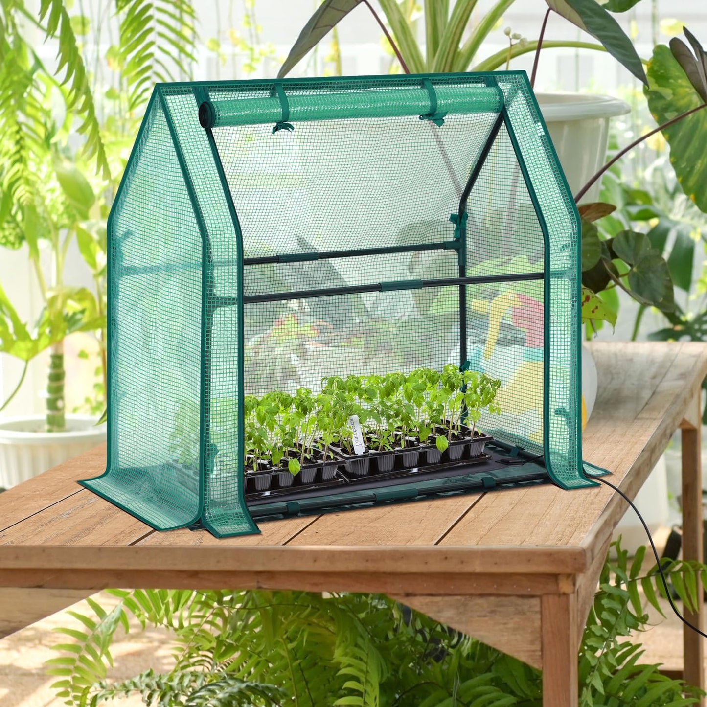 Mini Greenhouse for Indoor Outdoor: Ohuhu Tabletop Portable Green House with Waterproof Pad for Small Plants Nursery Germination, 36"x18"x33" Heavy-Duty PE Cover Green