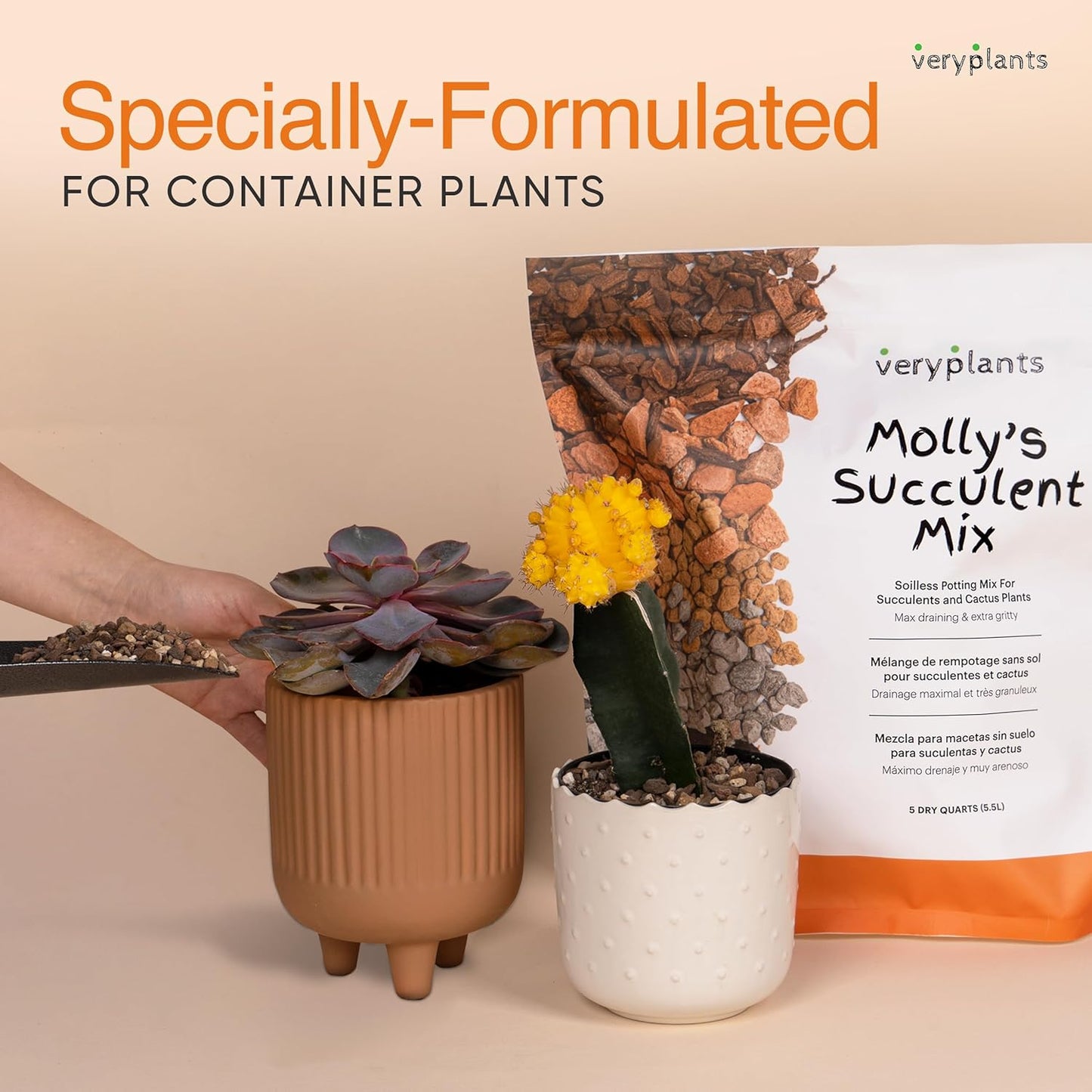 Molly's Succulent Mix - Premium Gritty Soilless Potting Mix for Succulents, Cactus and Bonsai - Contains Akadama, Hyuga, Bark Fines, Pumice, Lava Rock, Mycorrhizae 3 Dry Quarts
