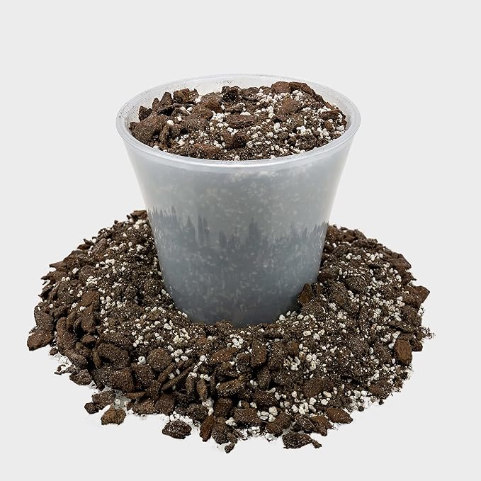 Professional Succulent Soil Premium All Purpose Blend | Pre-Mixed Ready to Use for Cactus and Succulents | Sphagnum Peat Moss, Perlite, New Zealand Pine Bark - Made in USA - 5 Quart