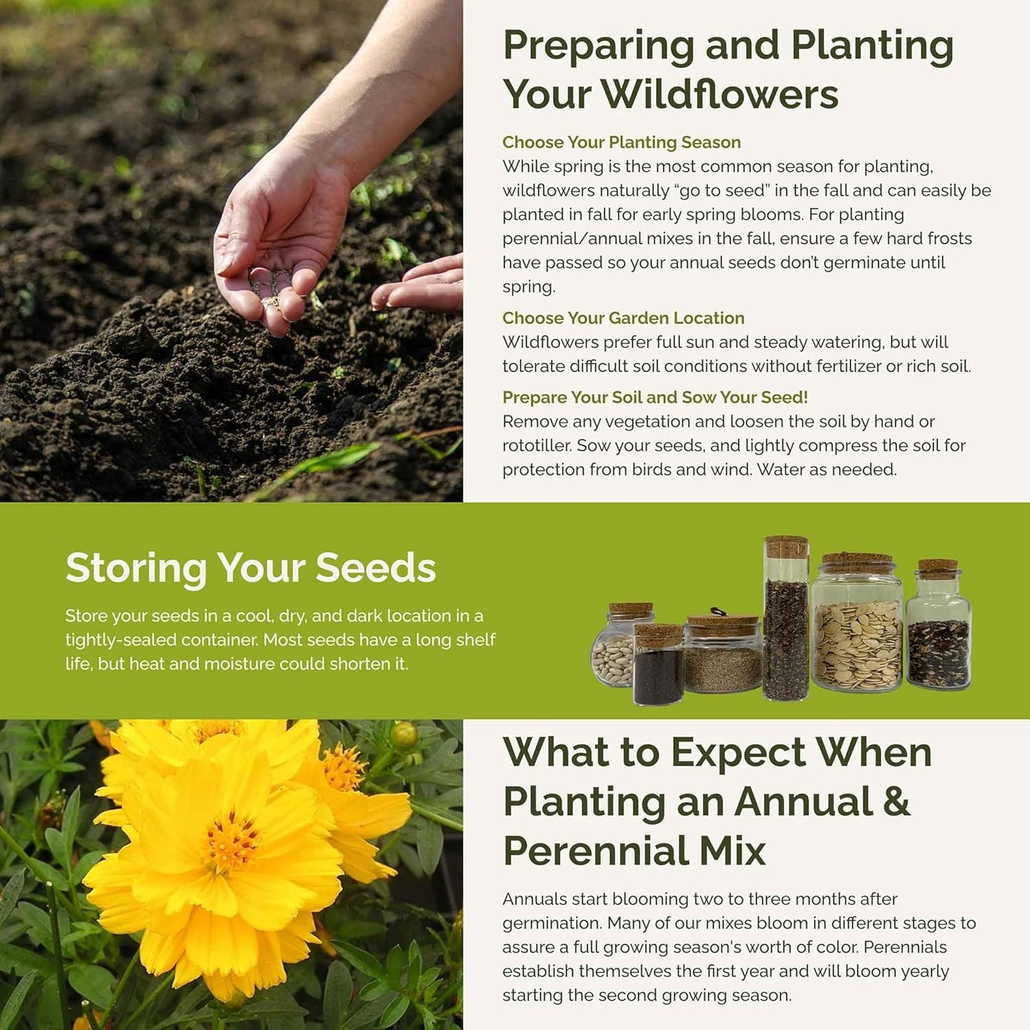 Eden Brothers Ole Yeller Wildflower Mixed Seeds for Planting, 1 lb, 480,000+ Seeds with African Marigold, Sunflower | Attracts Pollinators, Plant in Spring or Fall, Zones 3, 4, 5, 6, 7, 8, 9, 10