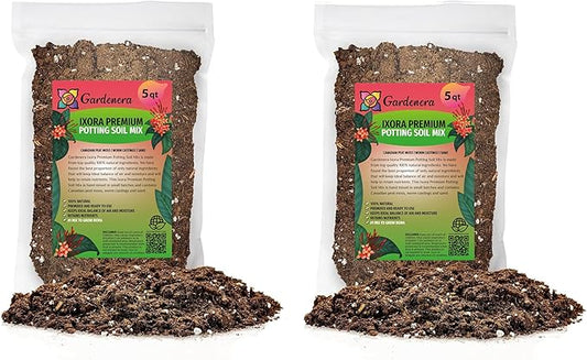 Ixora Plant Potting Soil - All-Natural Blend for Thriving Ixora Plants - Boosts Root Health and Vibrant Blossoms - 10 Quart
