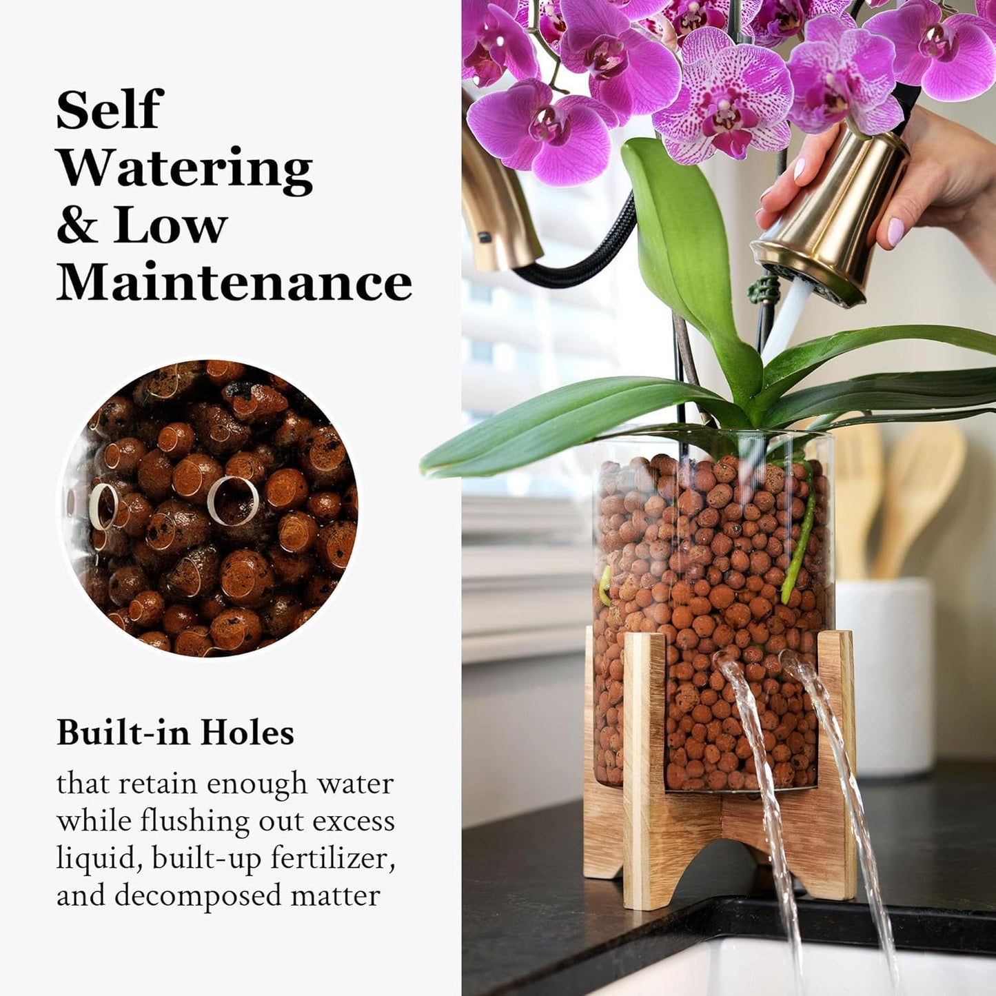 Pot & Pebble - C6 Glass Planter with Decorative Wood Base - Plant Propagation Station with Water Level Control - Plant Cutting Holder for LECA Clay Pebbles/Similar Media - Semi Hydroponic Planter